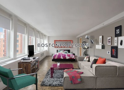 Back Bay Studio 1 Bath Boston - $3,225