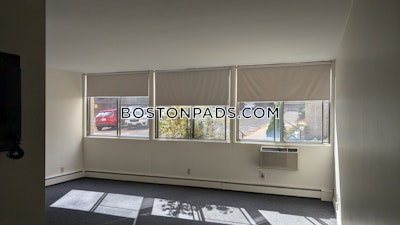 Brighton Studio 1 Bath Boston - $2,100 No Fee