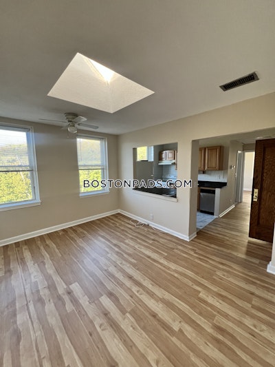 Brighton 1 Bed 1 Bath Boston - $2,100