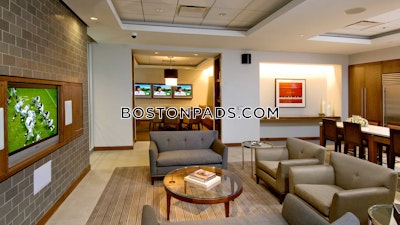 Downtown 1 Bed 1 Bath Boston - $4,095