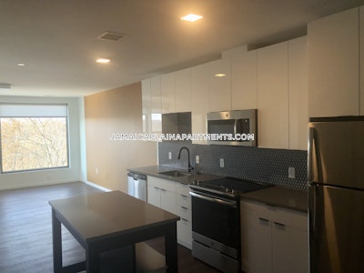 Jamaica Plain Apartment for rent 2 Bedrooms 1 Bath Boston - $4,500 No Fee