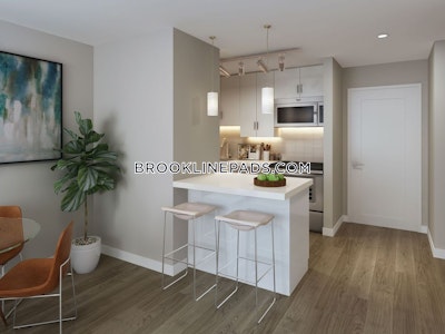 Brookline 1 Bed 1 Bath BROOKLINE- BROOKLINE VILLAGE $3,399  Brookline Village - $3,299