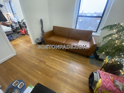 Mission Hill Apartment for rent 3 Bedrooms 1 Bath Boston - $4,100