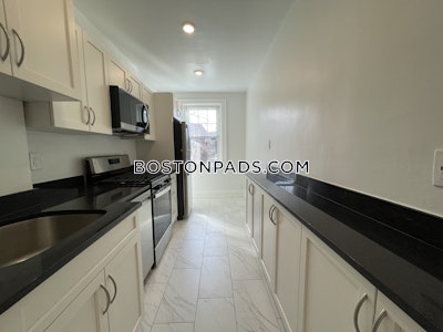 Brighton Apartment for rent 1 Bedroom 1 Bath Boston - $2,785 No Fee