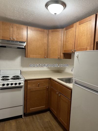 Brighton Apartment for rent Studio 1 Bath Boston - $1,800 50% Fee