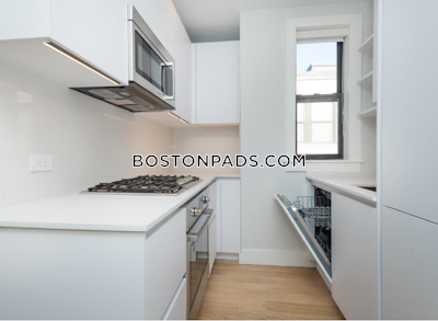 Brighton Apartment for rent 1 Bedroom 1 Bath Boston - $2,750