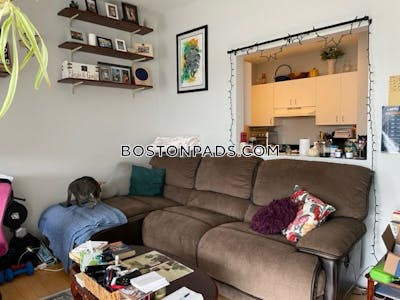 South End Apartment for rent 1 Bedroom 1 Bath Boston - $2,950