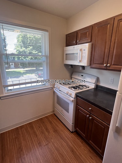 East Boston Apartment for rent 1 Bedroom 1 Bath Boston - $2,796