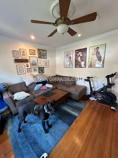 Dorchester/south Boston Border Apartment for rent 3 Bedrooms 1 Bath Boston - $3,100 No Fee