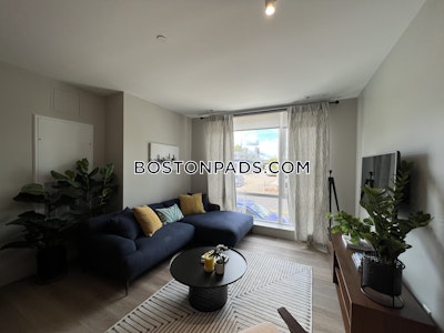 Brighton Apartment for rent 1 Bedroom 1 Bath Boston - $2,729