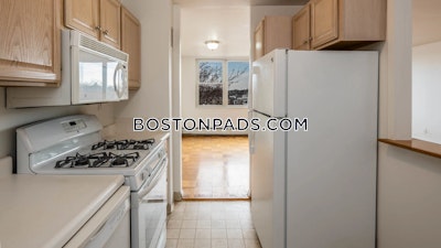 Cambridge Apartment for rent 1 Bedroom 1 Bath  Mt. Auburn/brattle/ Fresh Pond - $2,785