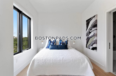 Brighton Apartment for rent 2 Bedrooms 2 Baths Boston - $4,195 No Fee