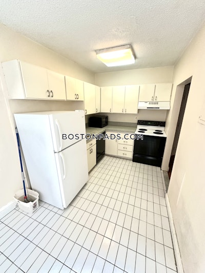 Brighton Apartment for rent 1 Bedroom 1 Bath Boston - $2,000