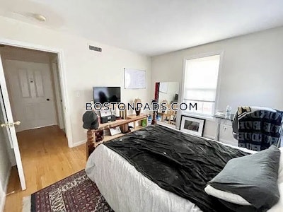 Mission Hill Apartment for rent 4 Bedrooms 3 Baths Boston - $7,200